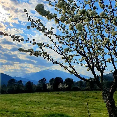 Guest house D'hote Casprese