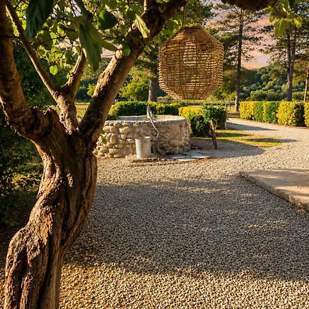 D'hote Casprese Guest house Altiani