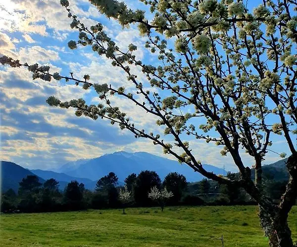 招待所 D'hote Casprese