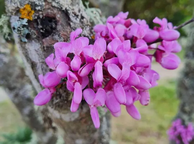 招待所 D'hote Casprese 3*