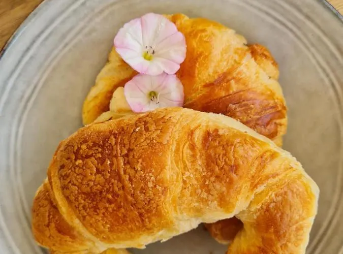 招待所 D'hote Casprese Altiani